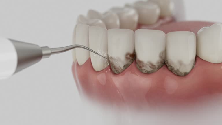 Reliable Dental contractor in Amherst, WI by Dentist Open Now